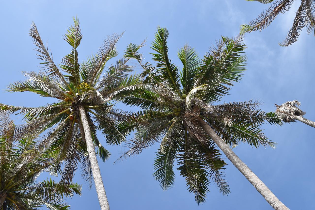 Magic Resort Lamai Beach  Eksteriør billede